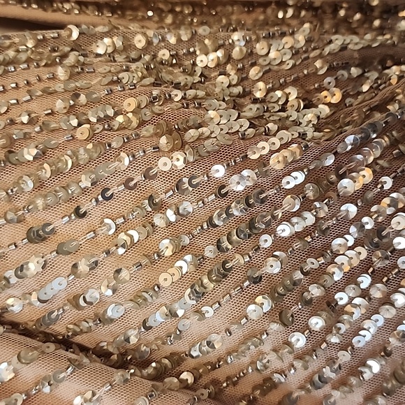 Adrianna Papell Halter Fully Beaded Gown sz 10 NWT - Picture 9 of 9